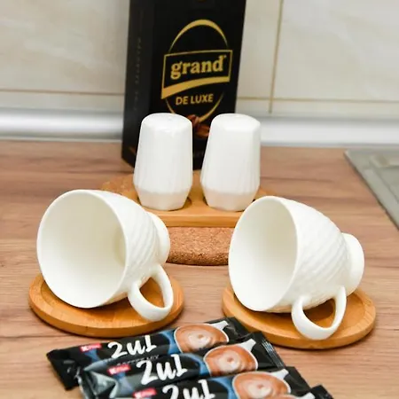 Suncokret Daire Loznica