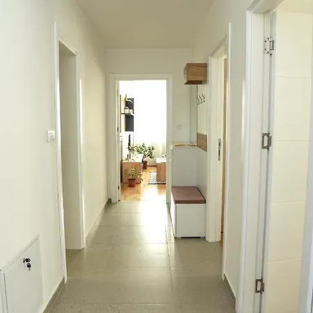 Suncokret Daire Loznica