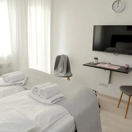 Suncokret Daire Loznica