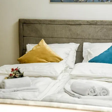 Suncokret Daire Loznica