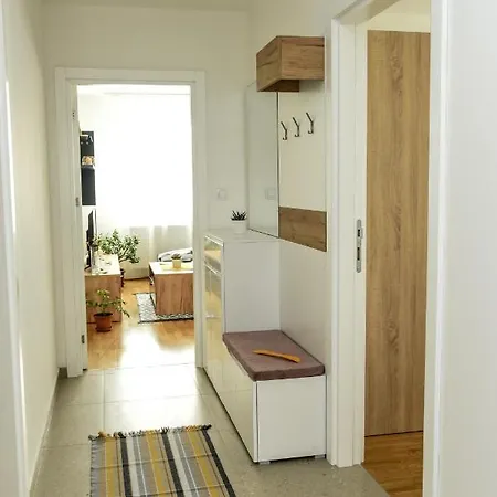 Suncokret * لوزنيكا