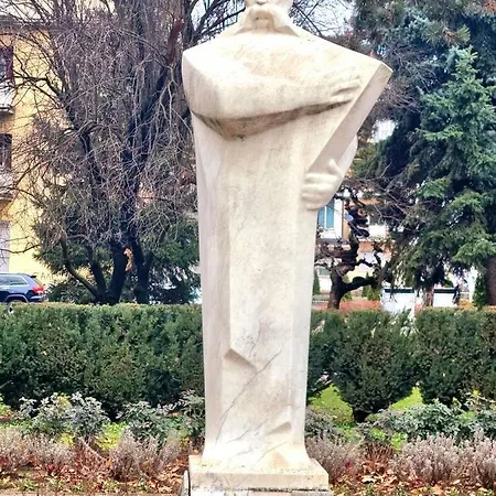 Suncokret لوزنيكا