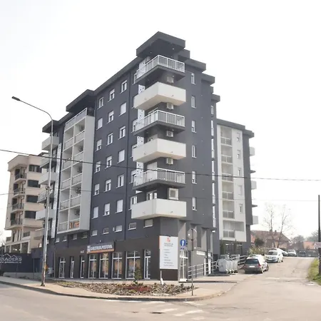 Suncokret * لوزنيكا