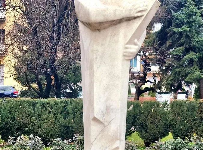 Suncokret 洛兹尼察