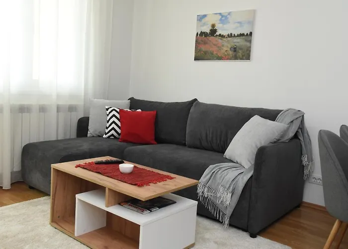 Suncokret * 洛兹尼察