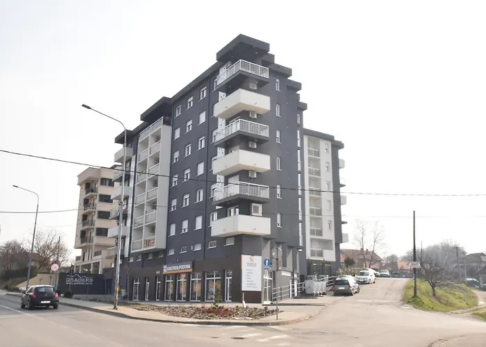 Suncokret * 洛兹尼察