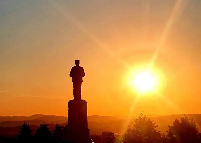 Suncokret 洛兹尼察